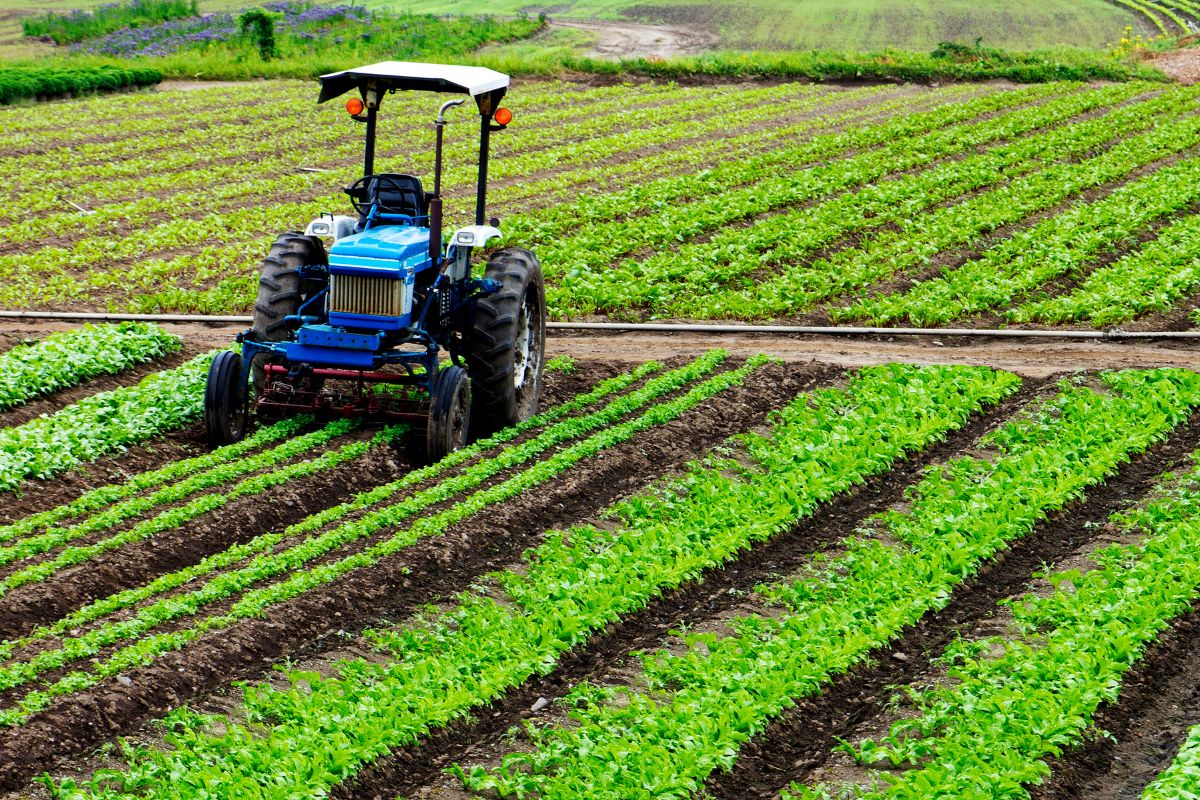 enjeux météo agricole